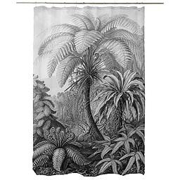 Cortina Ducha (BW Palm)
