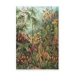 Tabla 60x40 (Deep Forest)