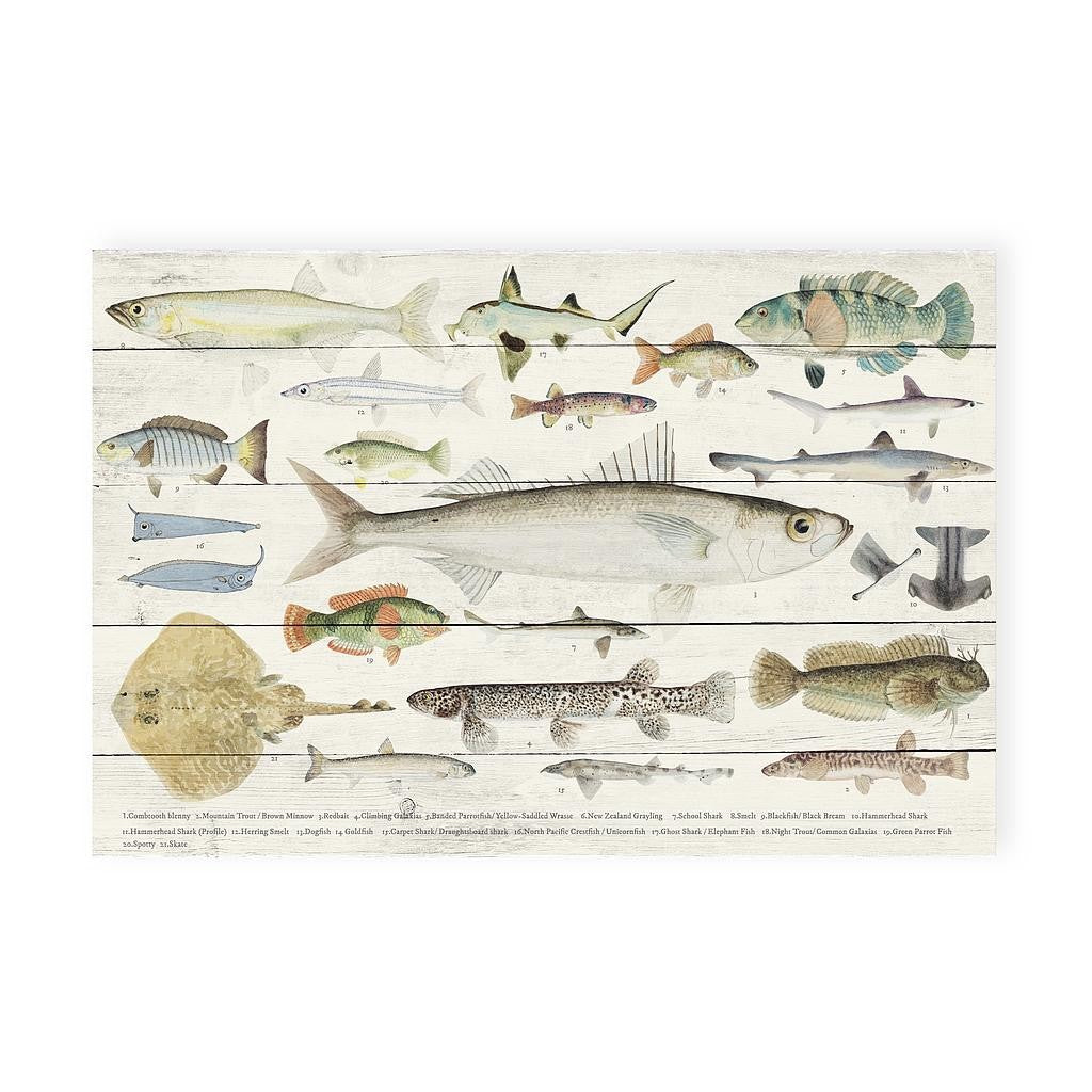 Tabla 60x40 (Fishes)
