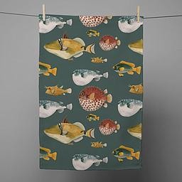 Paño (Peces)