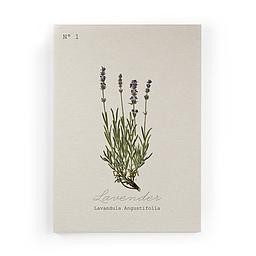 Lienzo 70x50 (Lino Lavender)