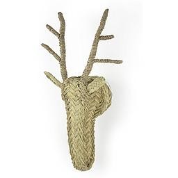 Busto Reno Surdic Esparto