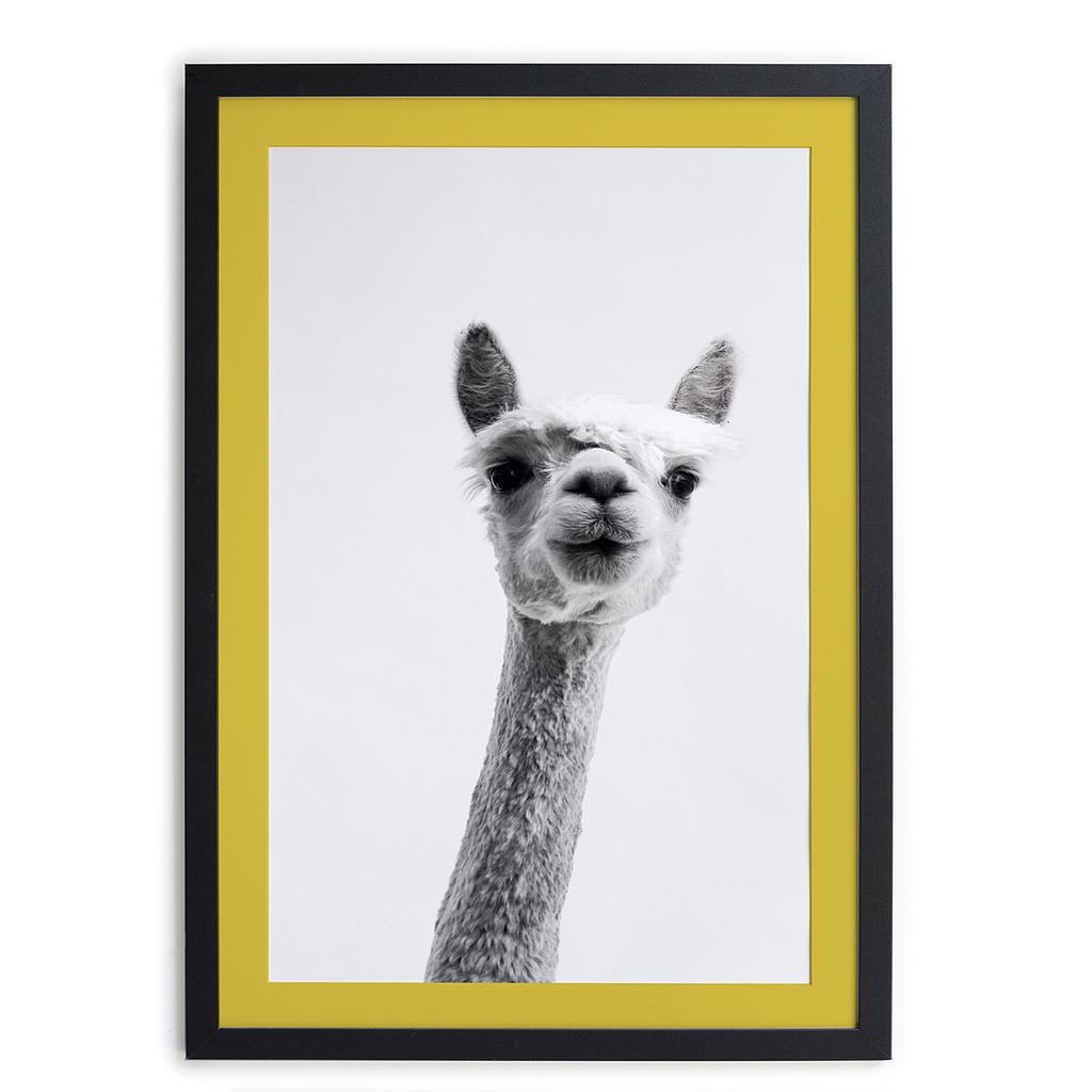 Cuadro Moldura Negra 40x30 (Alpaca)