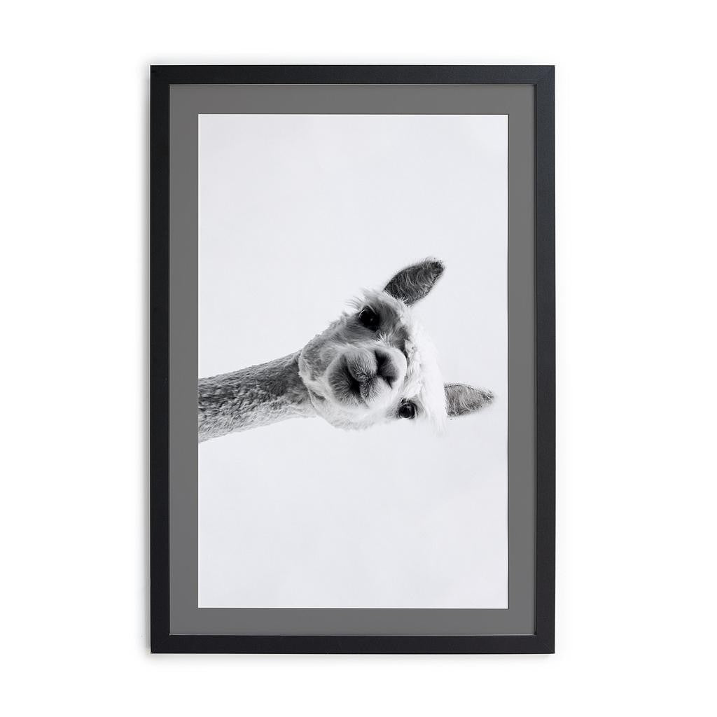 Cuadro Moldura Negra 40x30 (Grey Alpaca)