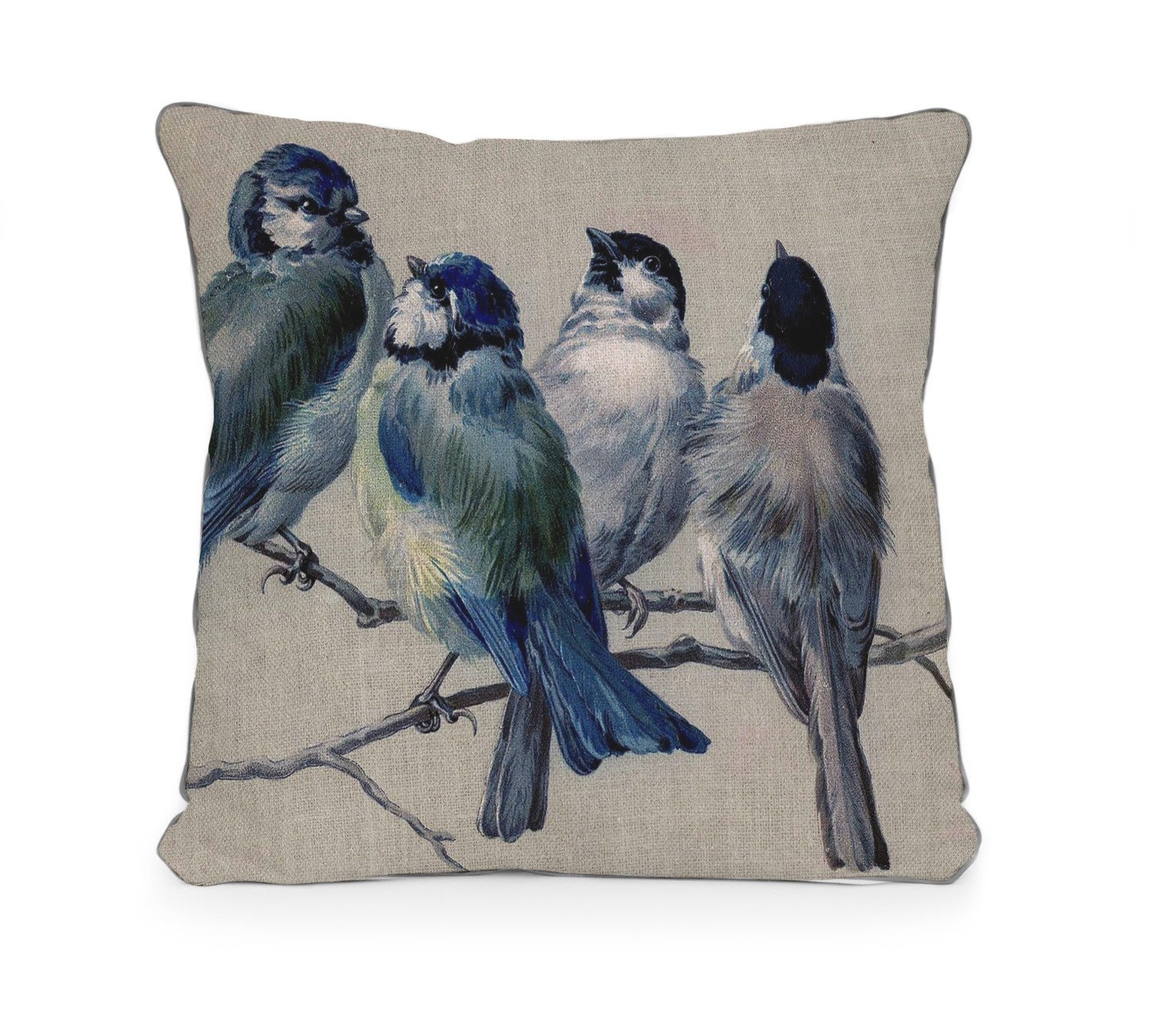 Cojin 45x45 (Blue Birds)