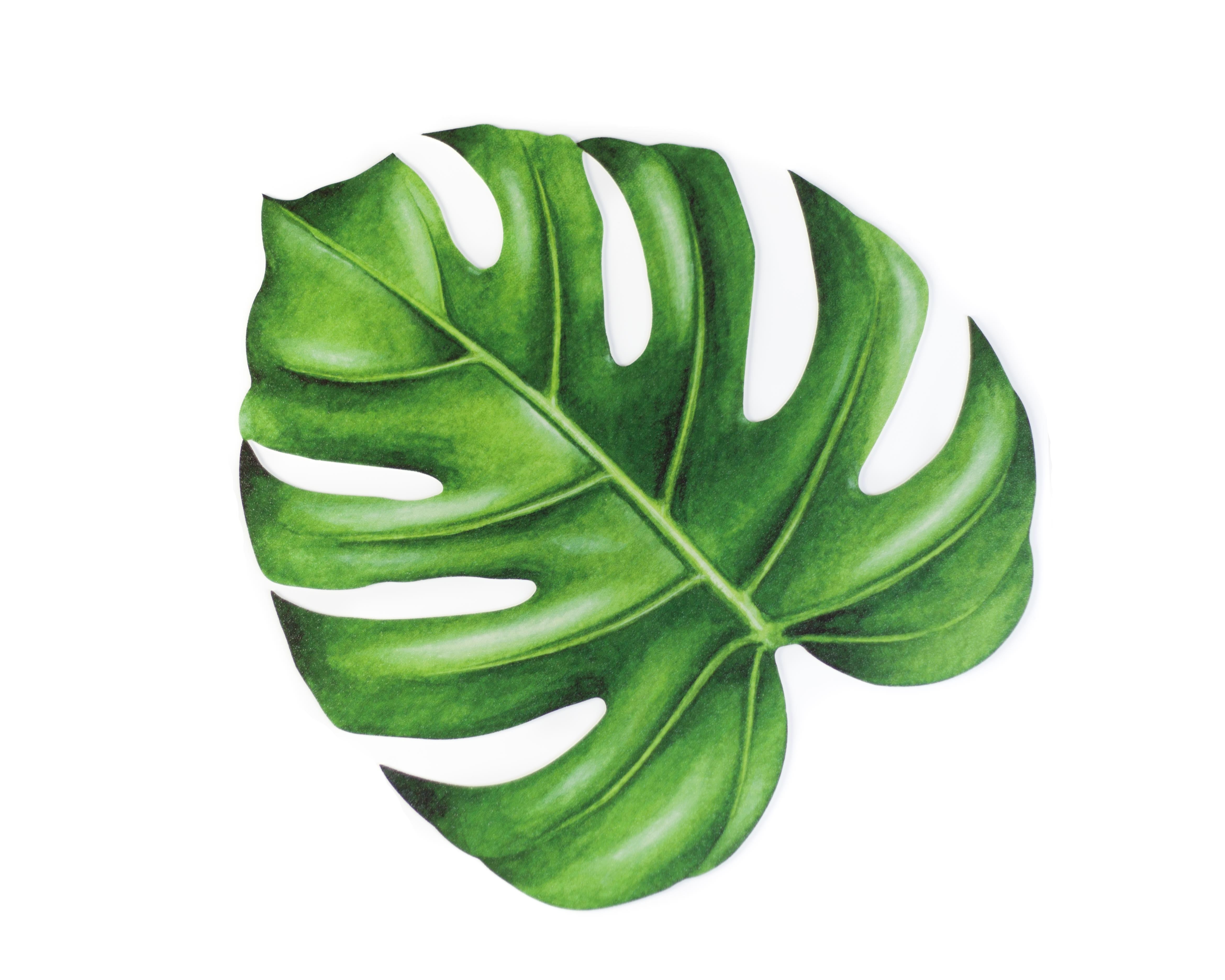 Mantel Individual (Monstera)