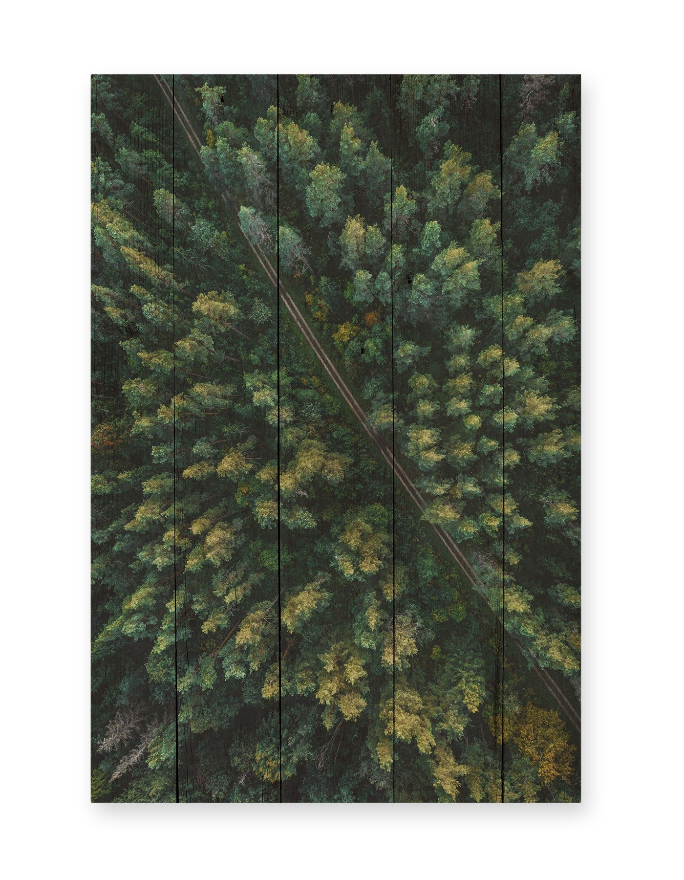 Tabla 60x40 (Aerial Forest)