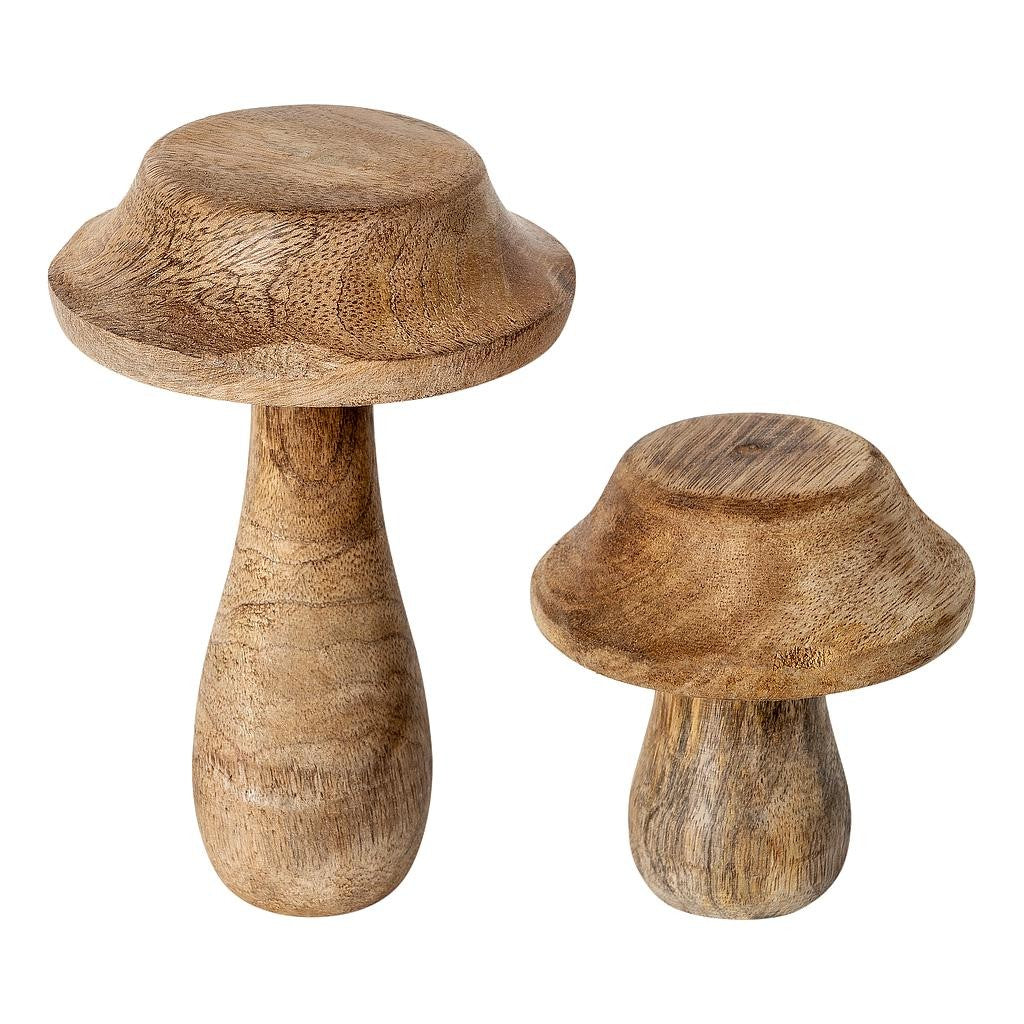 Magical Mushroom