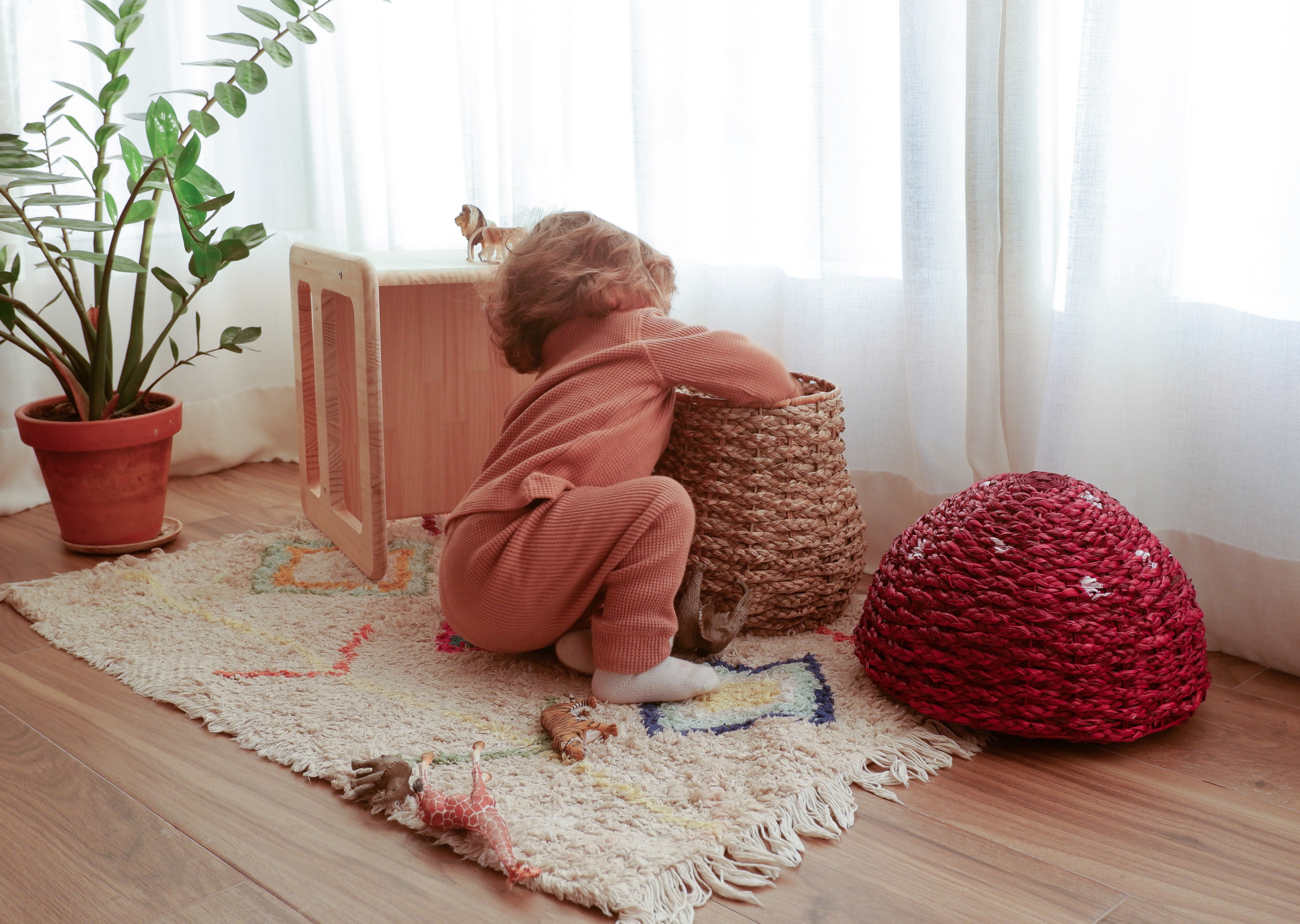 Red Mushroom Basket storage