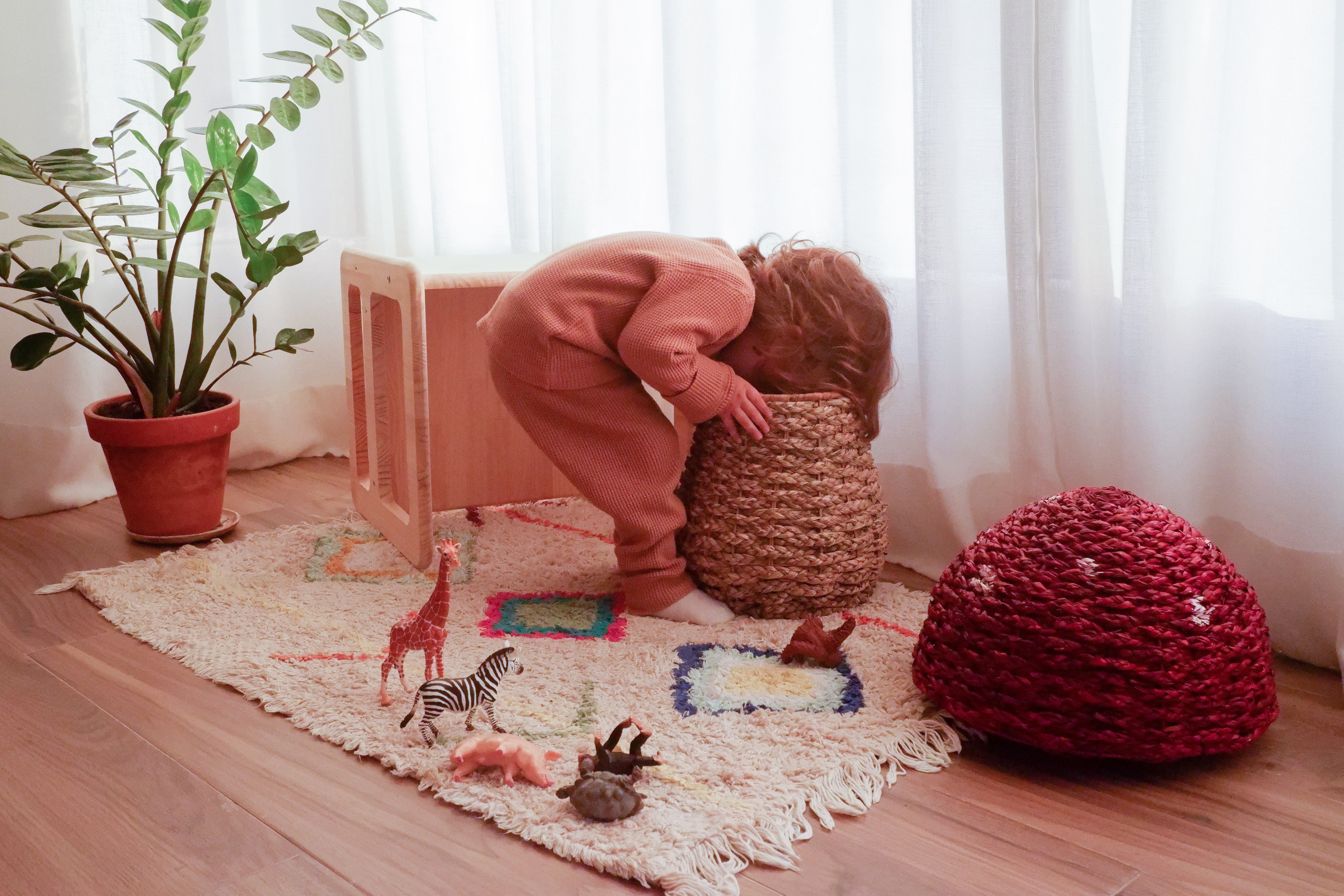 Red Mushroom Basket storage