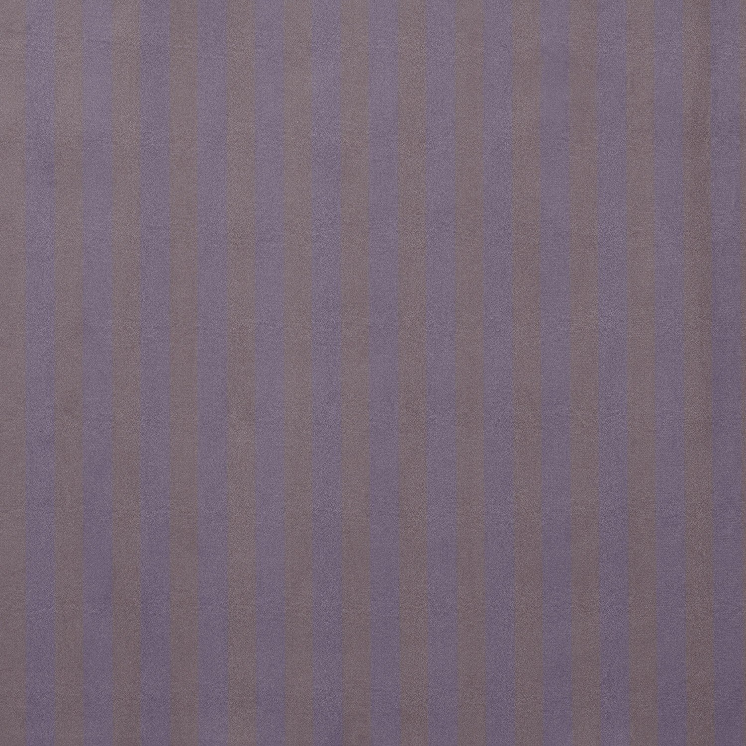 Tela velvet Stripes 005