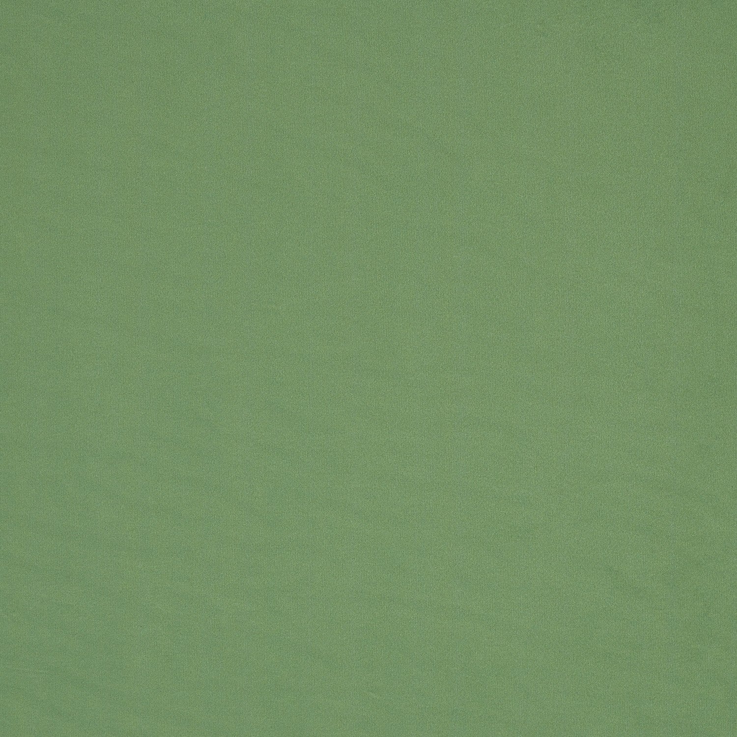 Tela Velvet  Plain 008