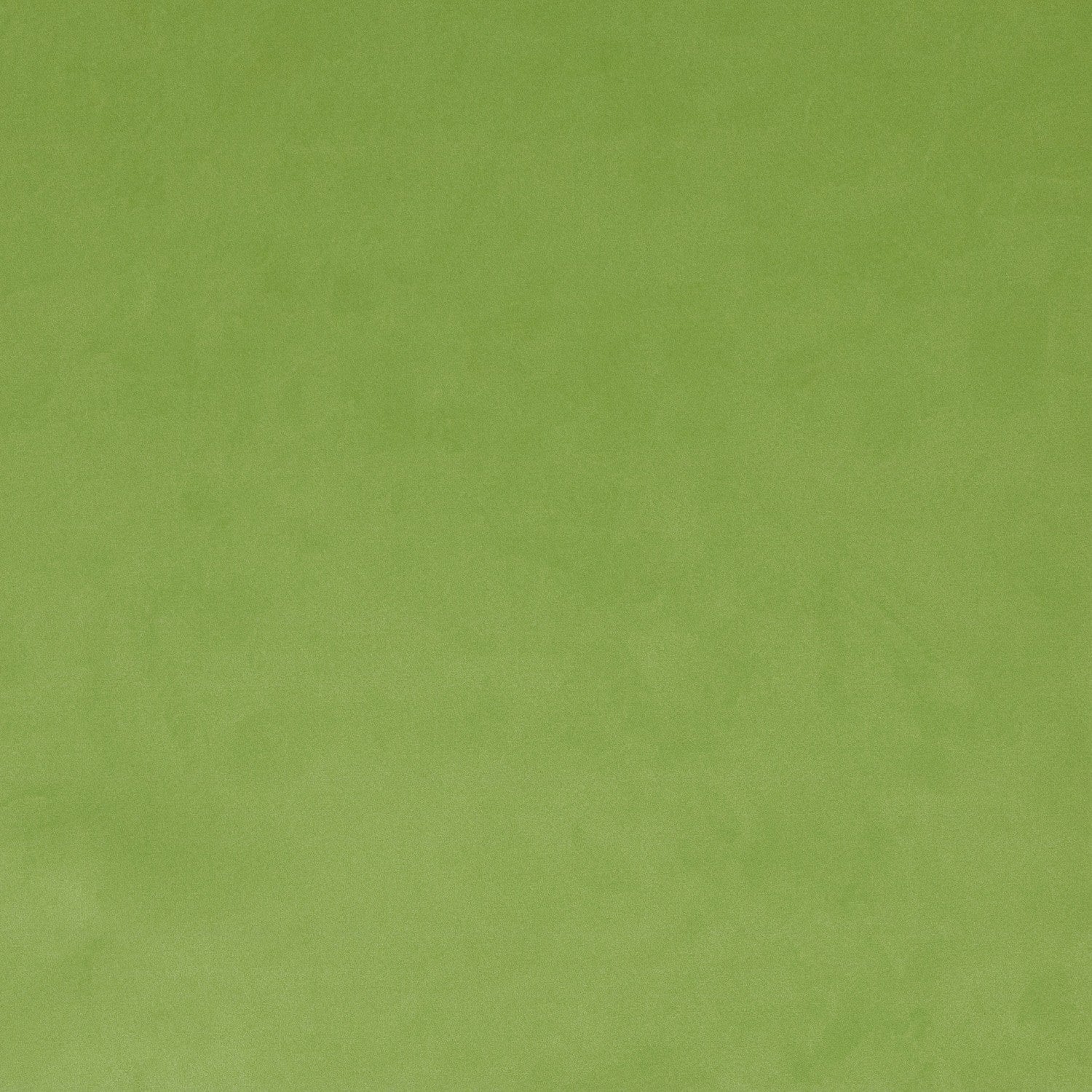 Tela Velvet  Plain 010