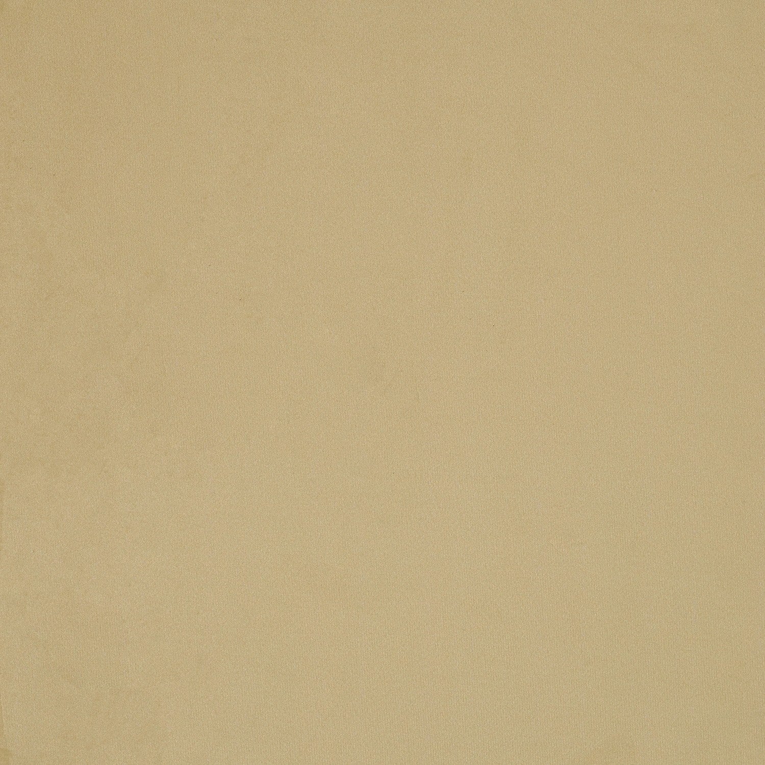 Tela Velvet  Plain 011