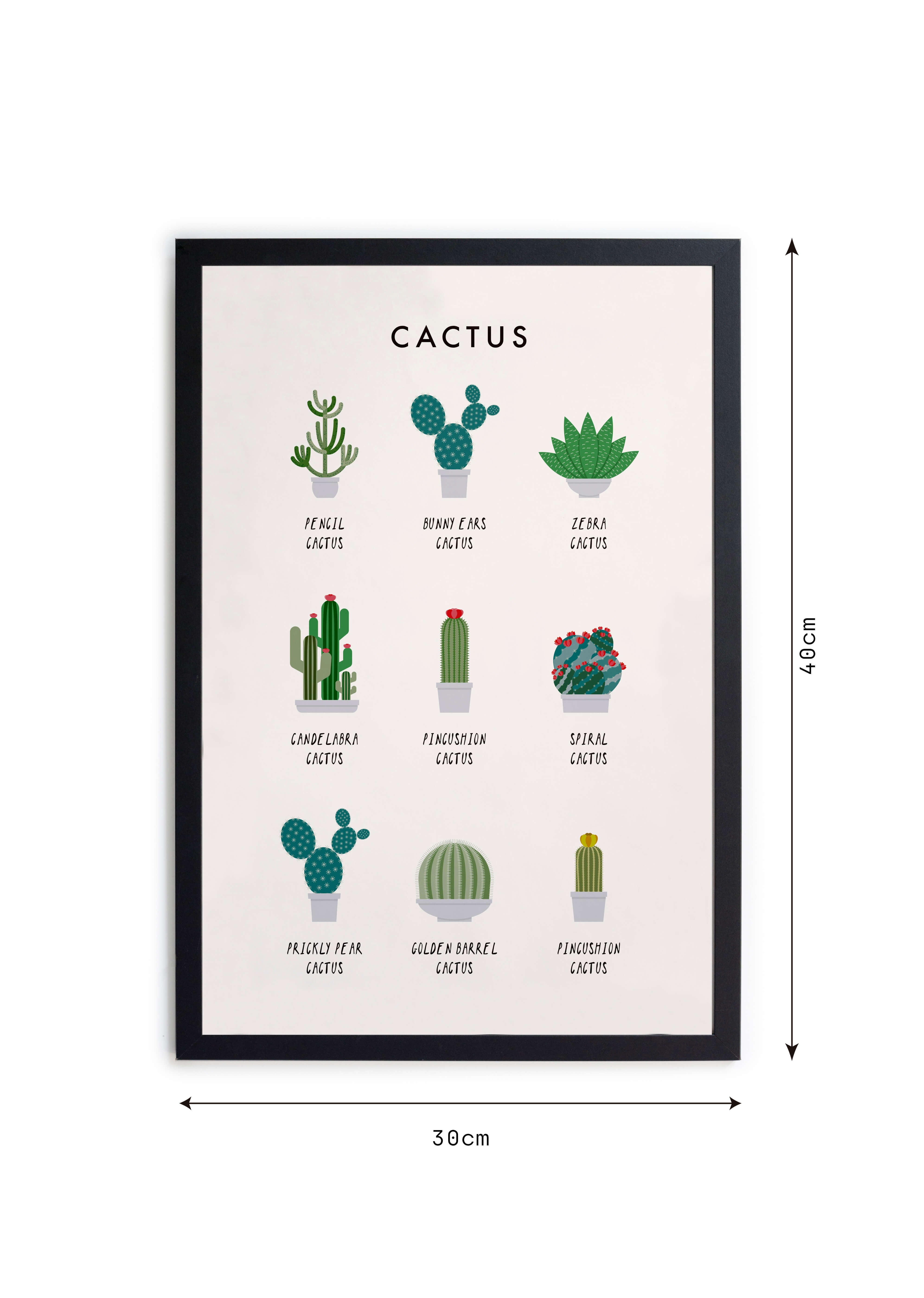 Cuadro moldura Cactus Guide