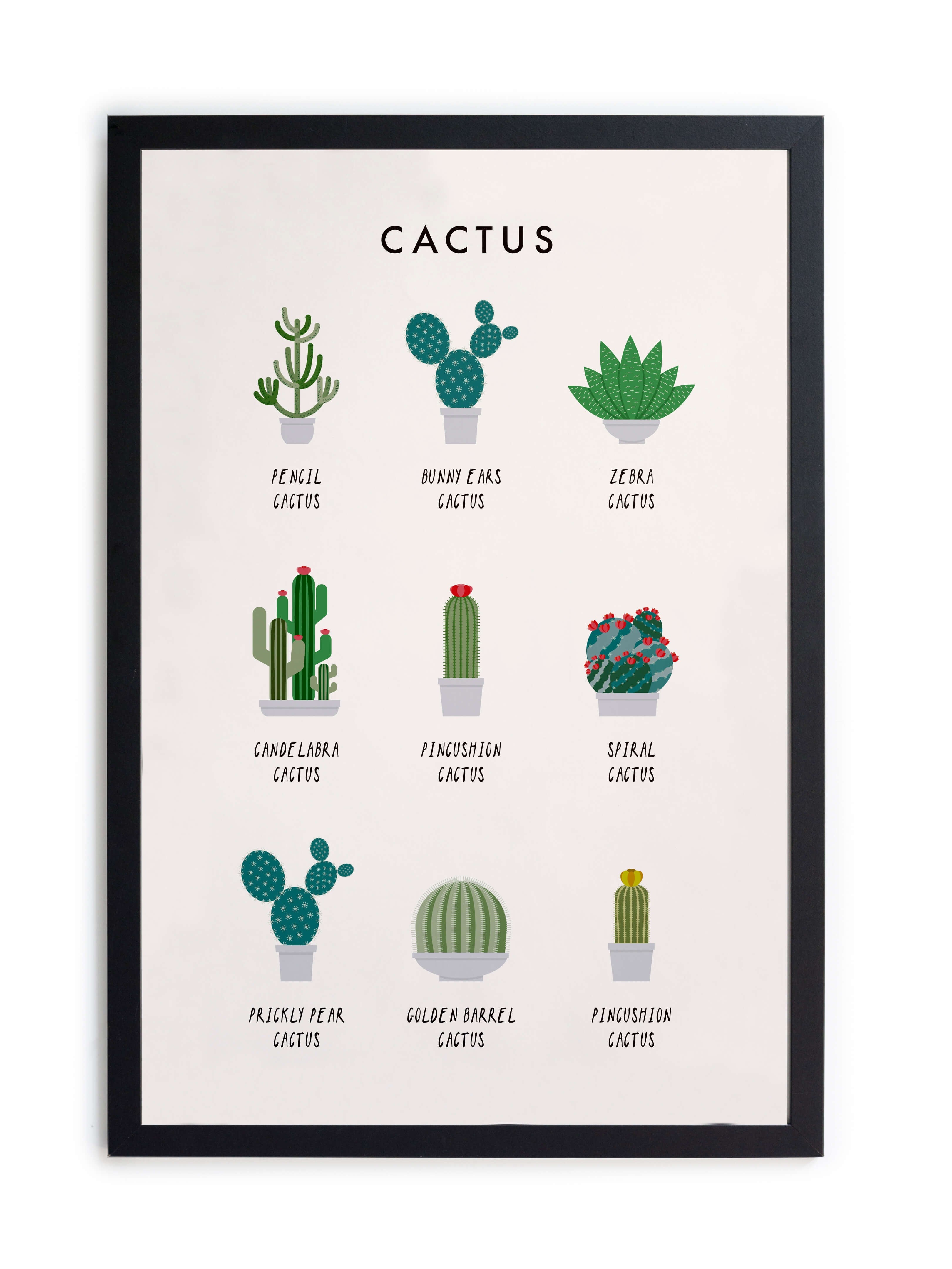 Cuadro moldura Cactus Guide